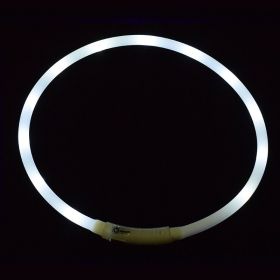 Pet's LED Collar With USB Rechargeable Glowing Lighted Up & Cuttable Waterproof Safety For Dogs (Color: White, size: One-Size)