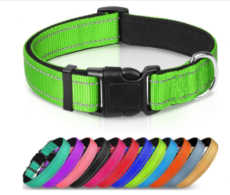 Adjustable Reflective Nylon Webbing Dog Collar (Option: Fluorescent Green-L)